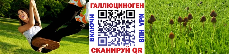 Галлюциногенные грибы мухоморы  Болхов 
